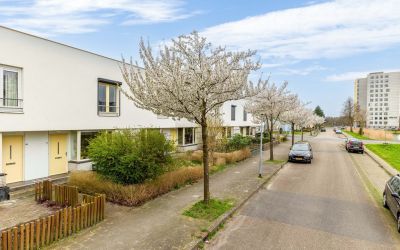 W. Dreesstr. 40