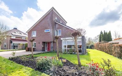 Aalscholver 12