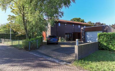Aalscholver 16