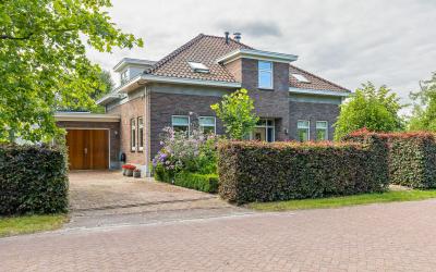 Roerdomp 7