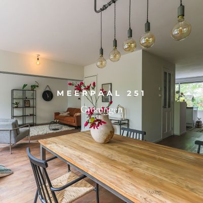 Meerpaal 251