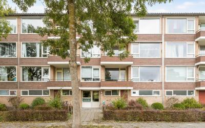 Duindoornst. 27