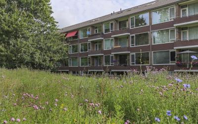 Spirealaan 88