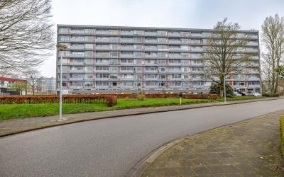 Avondsterla. 46