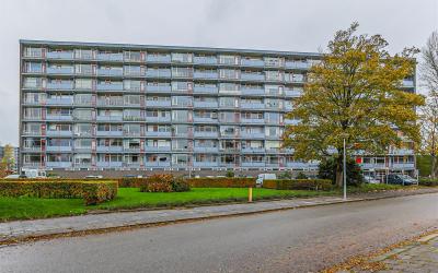 Avondsterla. 78