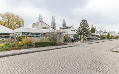 Jan van der. 8