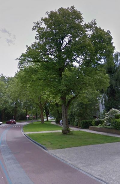 Jachtlaan 5