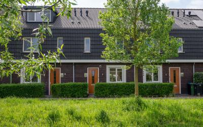 Roggeveld 6
