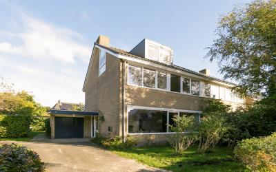 Ridderspoor. 32