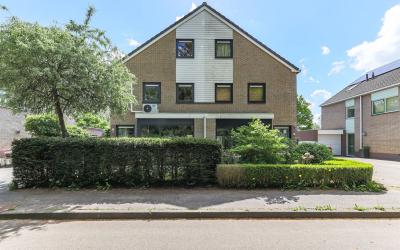 Boerhoorn 45