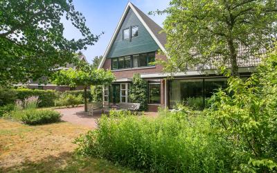 Boerhoorn 28