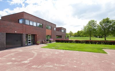 Pinksterbloem 9