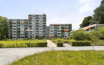 Hoofdweg 300