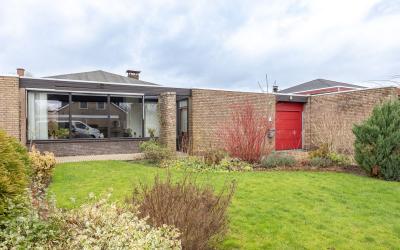 De Drie Roz. 6