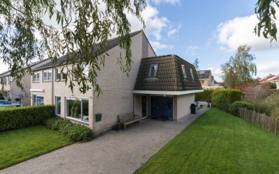 Dotterbloem 24