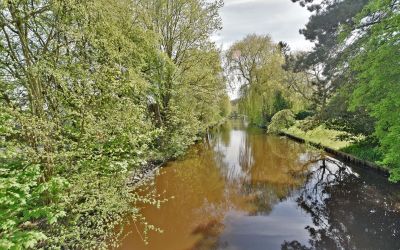 Hoofdstraat 194