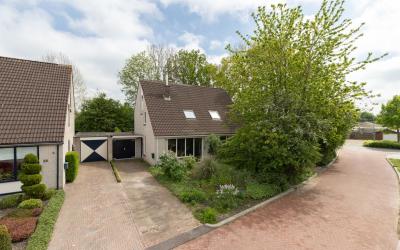 Patrijs 30