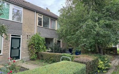 Vioolstraat 10