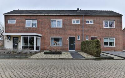 Scholekster 15