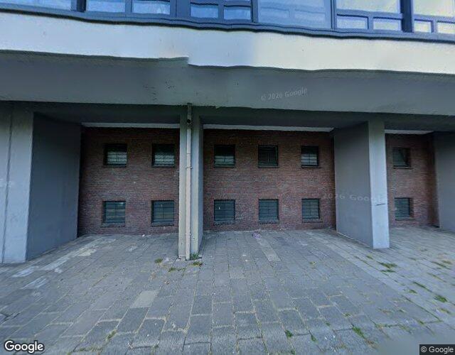 Burgemeeste. 653