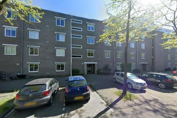 Honingen 8