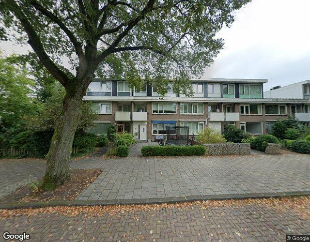 Bolestein 53