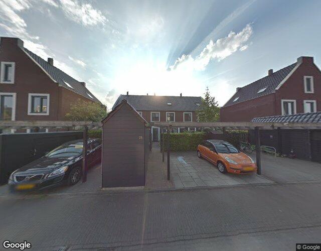 Boterbloem 73