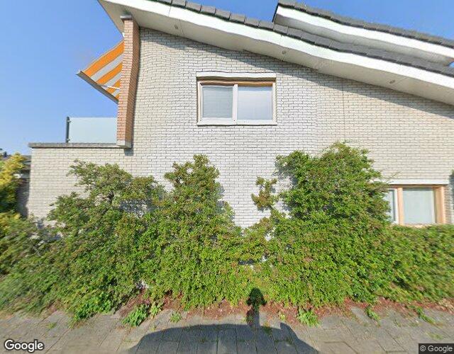 Goudpluvier 49