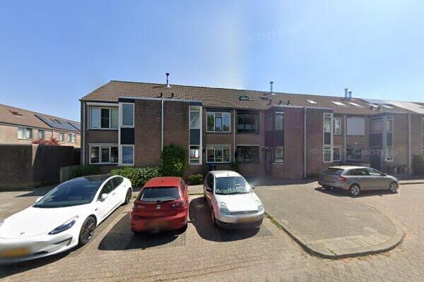 Veenmossing. 3