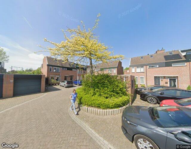 Muurvaren 77
