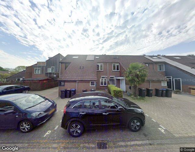 Hoornblad 3