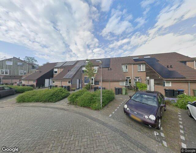 Hoornblad 22