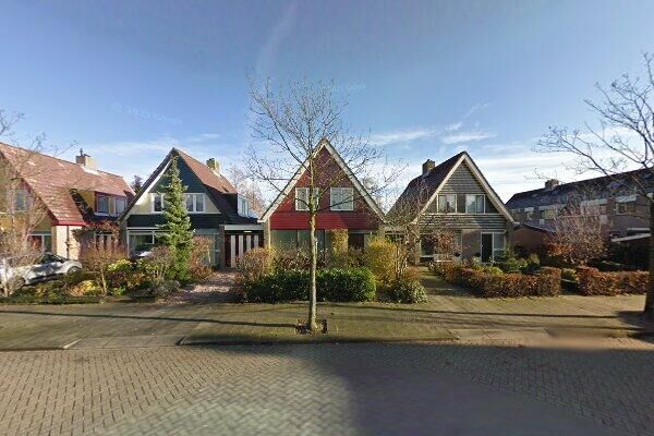 Roerdomp 4