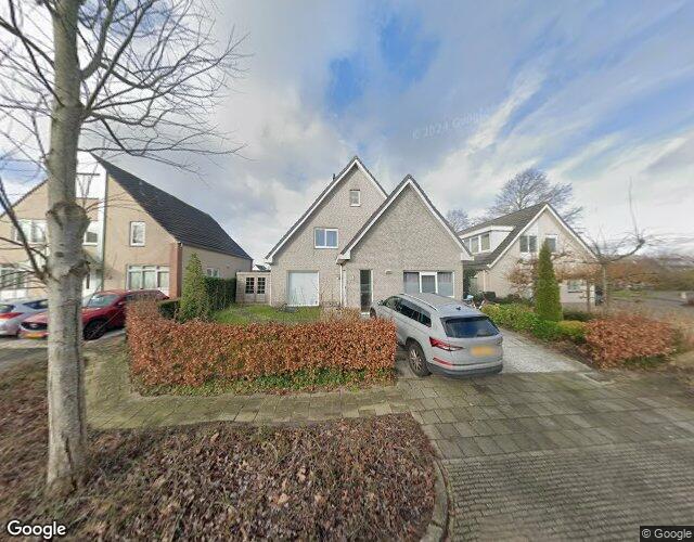 Zanglijster 4