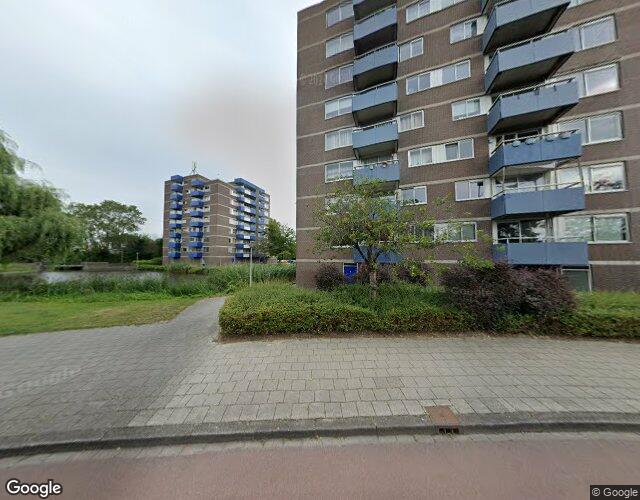 Boterbloem 24