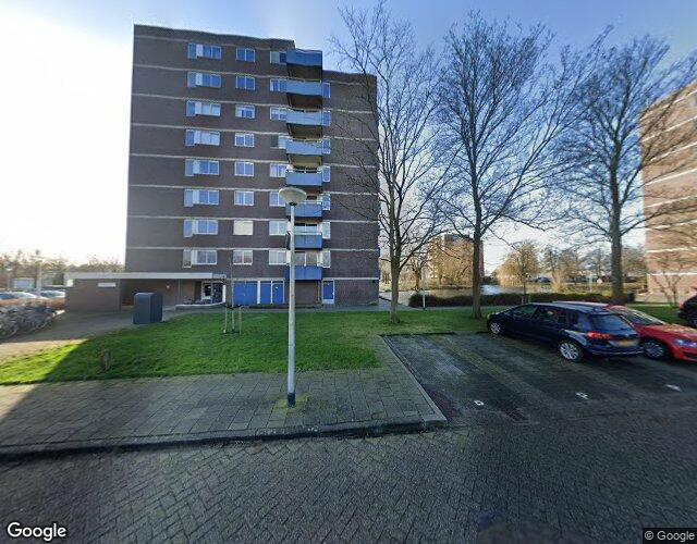 Boterbloem 36