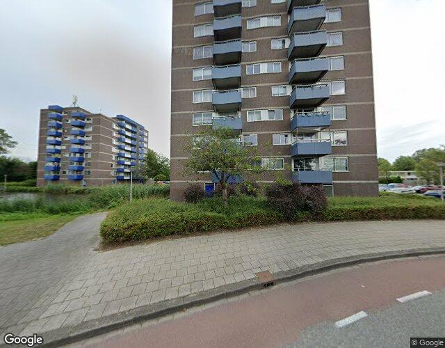 Boterbloem 74