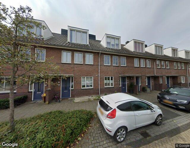 Dwergmuis 17
