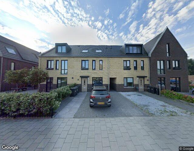 Pieter van. 12