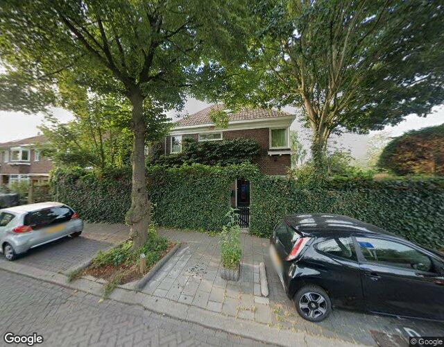 Krokusstraat 49