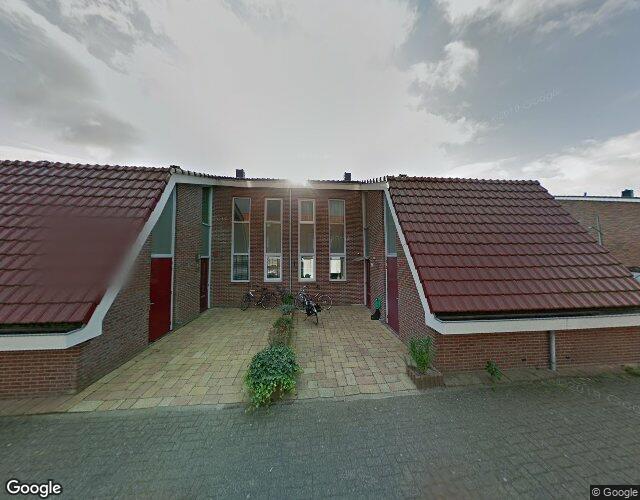 IJsbloem 23
