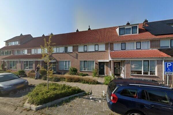 Ceder 91