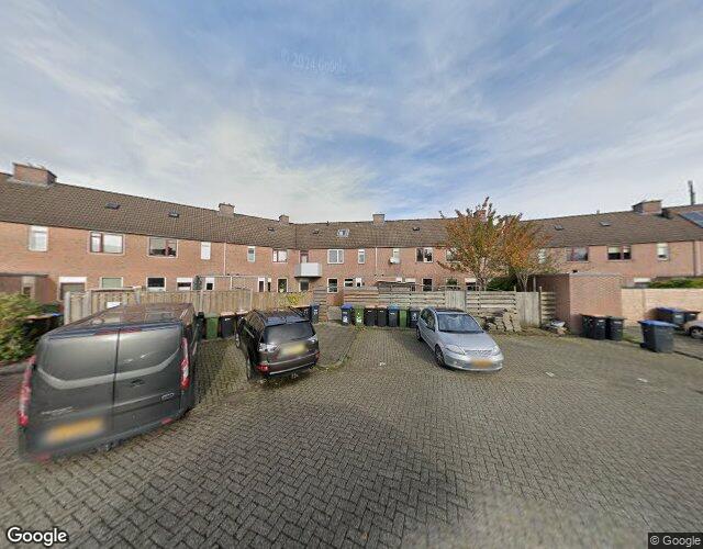 Houtduif 71