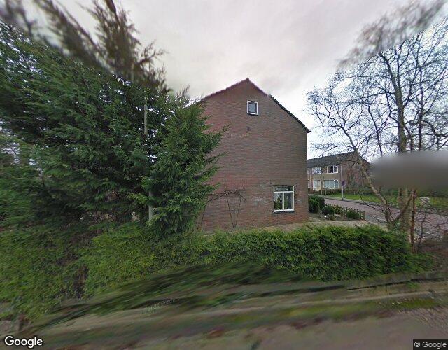 Goudenregen. 3