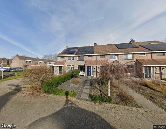 Sleutelbloem 3