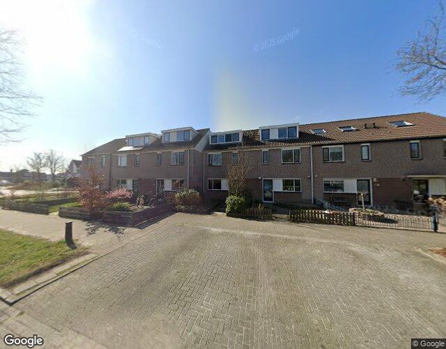 Speerdistel 8