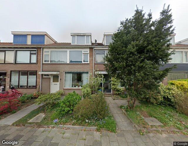 Goudenregen. 9