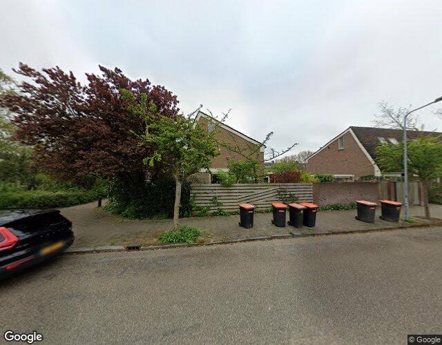Sleutelbloem 23
