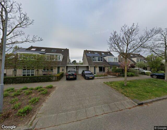 Zomerschoon 107