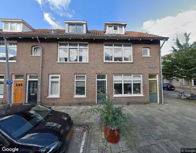 Oranjebooms. 40